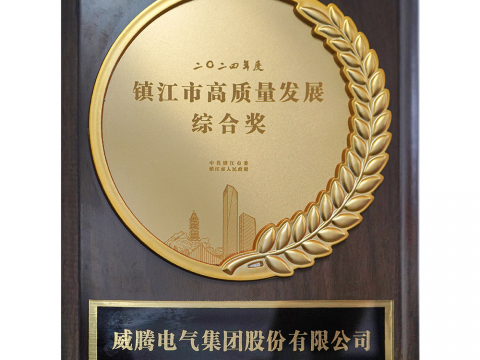 喜讯│88彩票电气集团股份有限公司荣获2024年度镇江市高质量发展综合奖